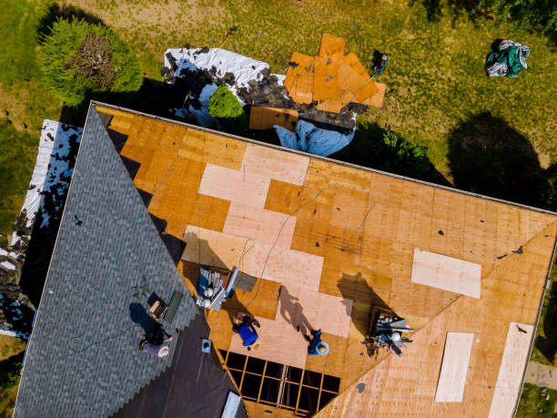 Best Commercial Roofing Services  in Miles City, MT